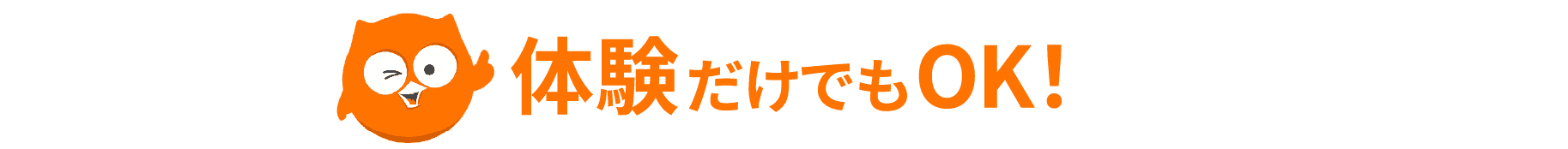 体験だけでもOK！